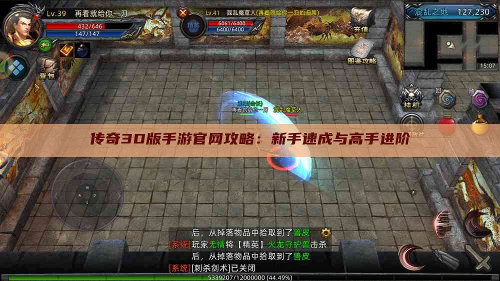 传奇3D版手游官网攻略：新手速成与高手进阶