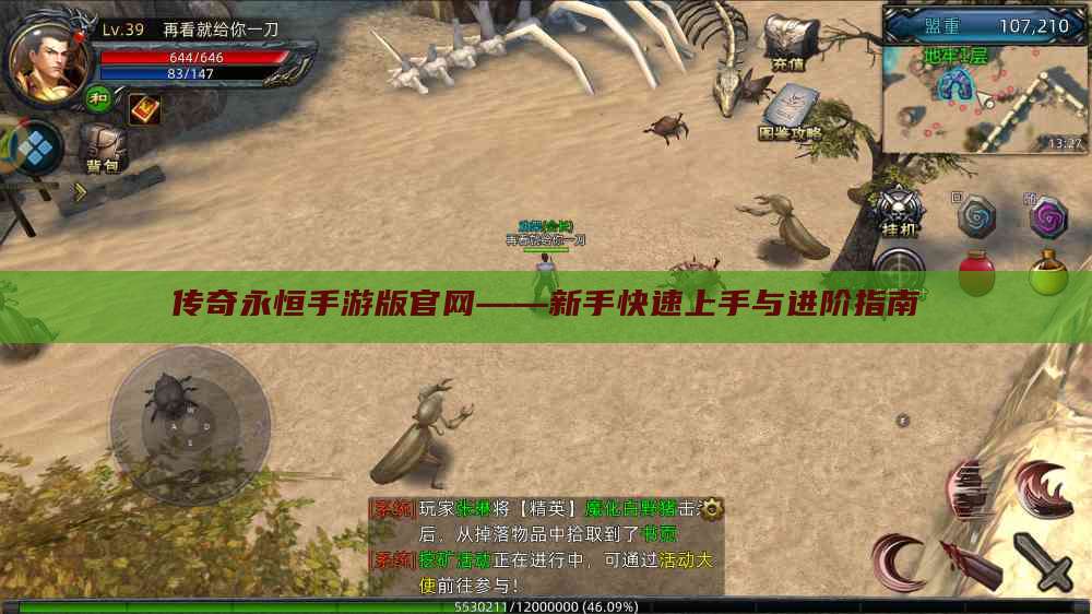 传奇永恒手游版官网——新手快速上手与进阶指南