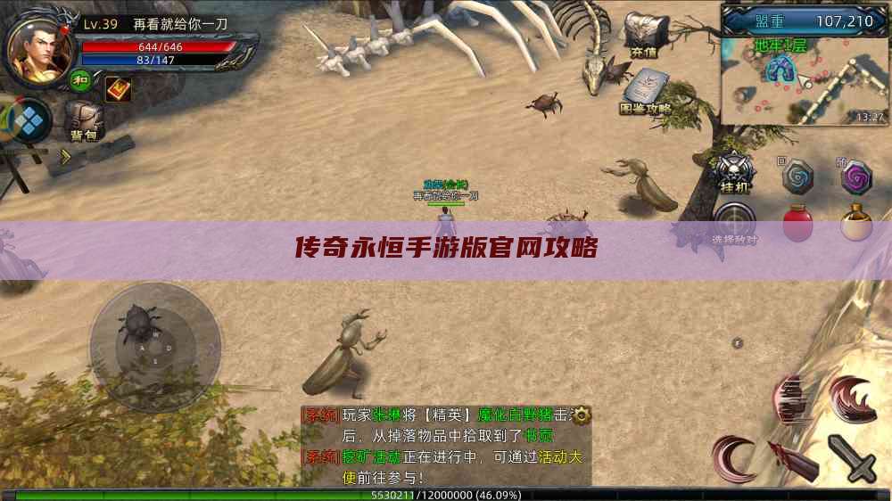 传奇永恒手游版官网攻略