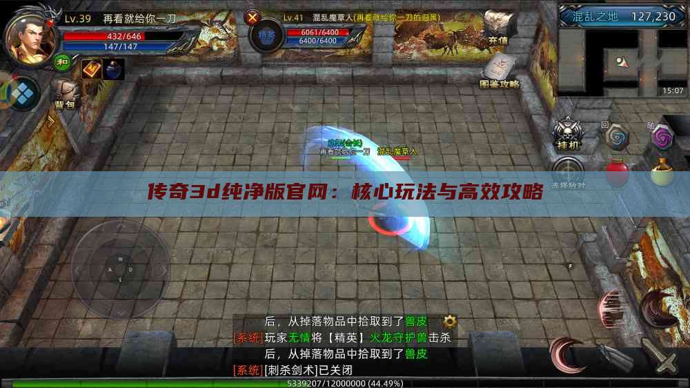 传奇3d纯净版官网：核心玩法与高效攻略