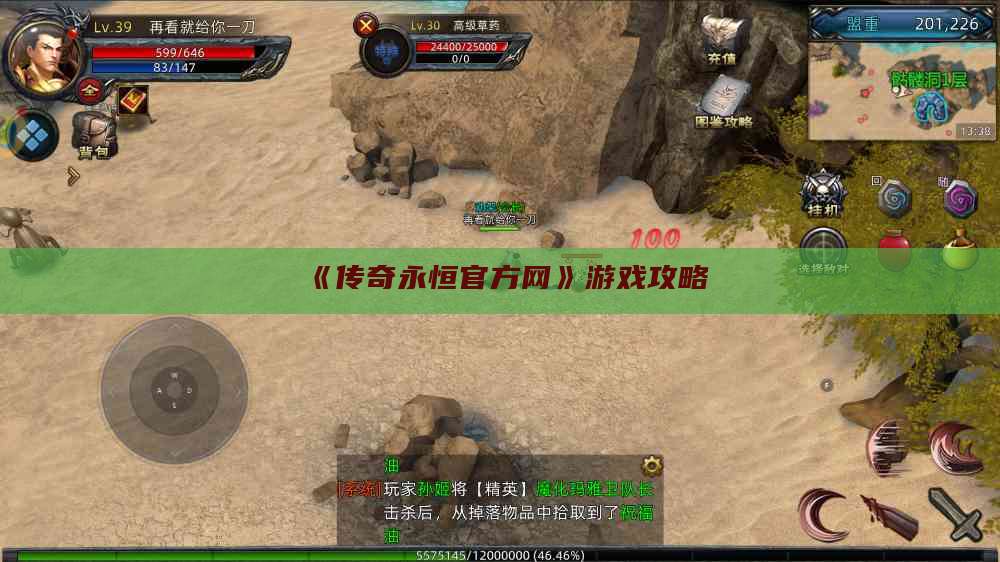 《传奇永恒官方网》游戏攻略