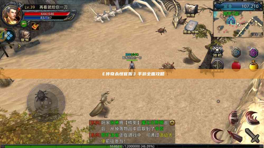 《传奇永恒官服》手游全面攻略