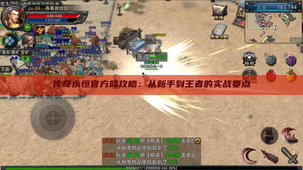 传奇永恒官方网攻略:从新手到王者的实战要点